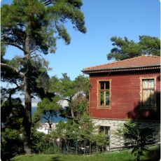 KöşkOrman Galeri Resimleri - KöşkOrman Gallery Photos