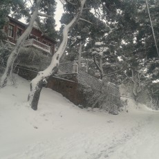 KöşkOrman Galeri Resimleri - KöşkOrman Gallery Photos