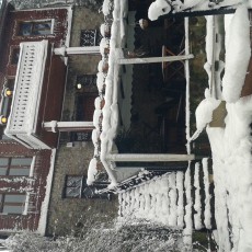 KöşkOrman Galeri Resimleri - KöşkOrman Gallery Photos