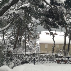 KöşkOrman Galeri Resimleri - KöşkOrman Gallery Photos