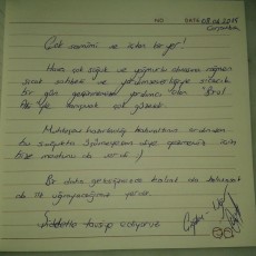 KöşkOrman Galeri Resimleri - KöşkOrman Gallery Photos