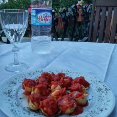 KöşkOrman Galeri Resimleri - KöşkOrman Gallery Photos