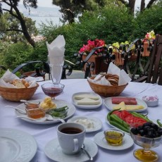 KöşkOrman Galeri Resimleri - KöşkOrman Gallery Photos