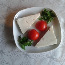 KöşkOrman Galeri Resimleri - KöşkOrman Gallery Photos