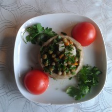 KöşkOrman Galeri Resimleri - KöşkOrman Gallery Photos