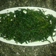 KöşkOrman Galeri Resimleri - KöşkOrman Gallery Photos