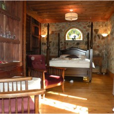 KöşkOrman Galeri Resimleri - KöşkOrman Gallery Photos