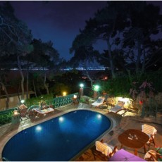 KöşkOrman Galeri Resimleri - KöşkOrman Gallery Photos