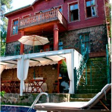 KöşkOrman Galeri Resimleri - KöşkOrman Gallery Photos