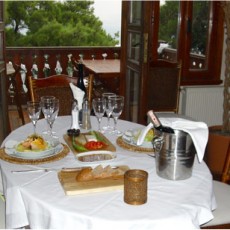 KöşkOrman Galeri Resimleri - KöşkOrman Gallery Photos