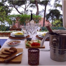 KöşkOrman Galeri Resimleri - KöşkOrman Gallery Photos