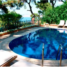 KöşkOrman Galeri Resimleri - KöşkOrman Gallery Photos