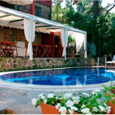 KöşkOrman Galeri Resimleri - KöşkOrman Gallery Photos